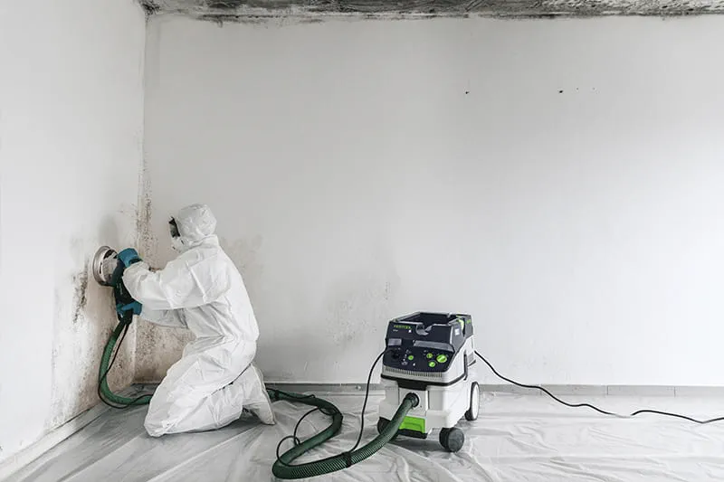 When removing mould, Marco Müller always wears a protective suit and never works without the class H extractor.